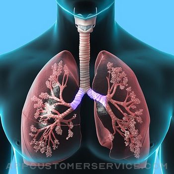 Respiratory System Trivia Customer Service