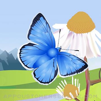 Butterflies & Day Moths UK Customer Service