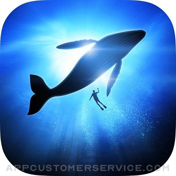 Underwater Wallpapers & Themes Customer Service